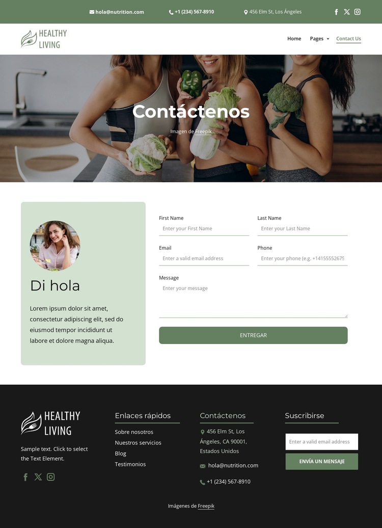Por favor contáctenos Plantilla de sitio web