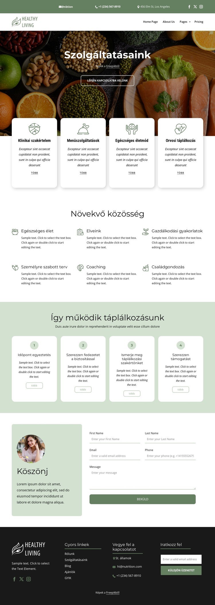 Élelmezési és táplálkozási szolgáltatás HTML Sablon