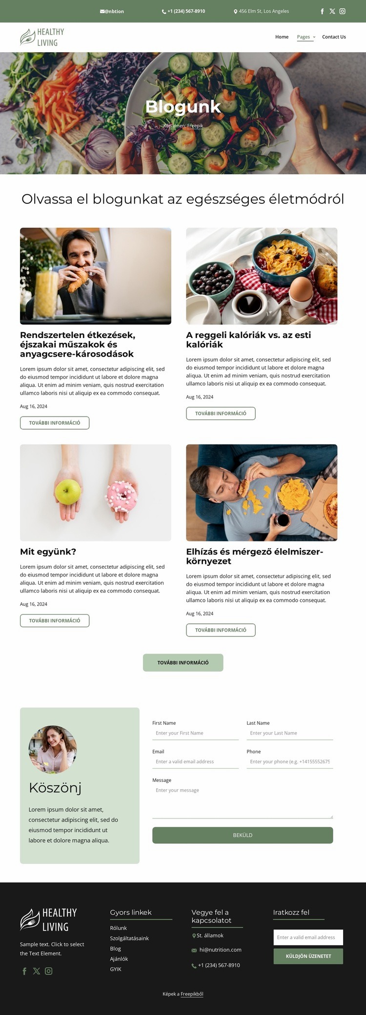 Egészséges életmód blog Sablon
