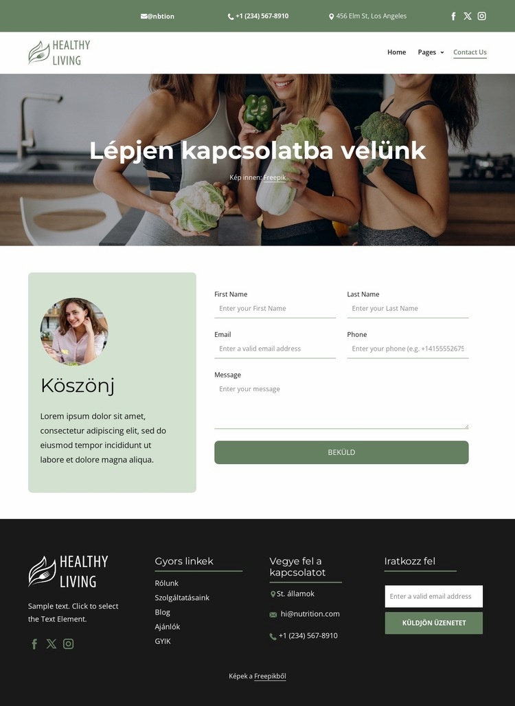 Kérjük, lépjen kapcsolatba velünk Weboldal sablon