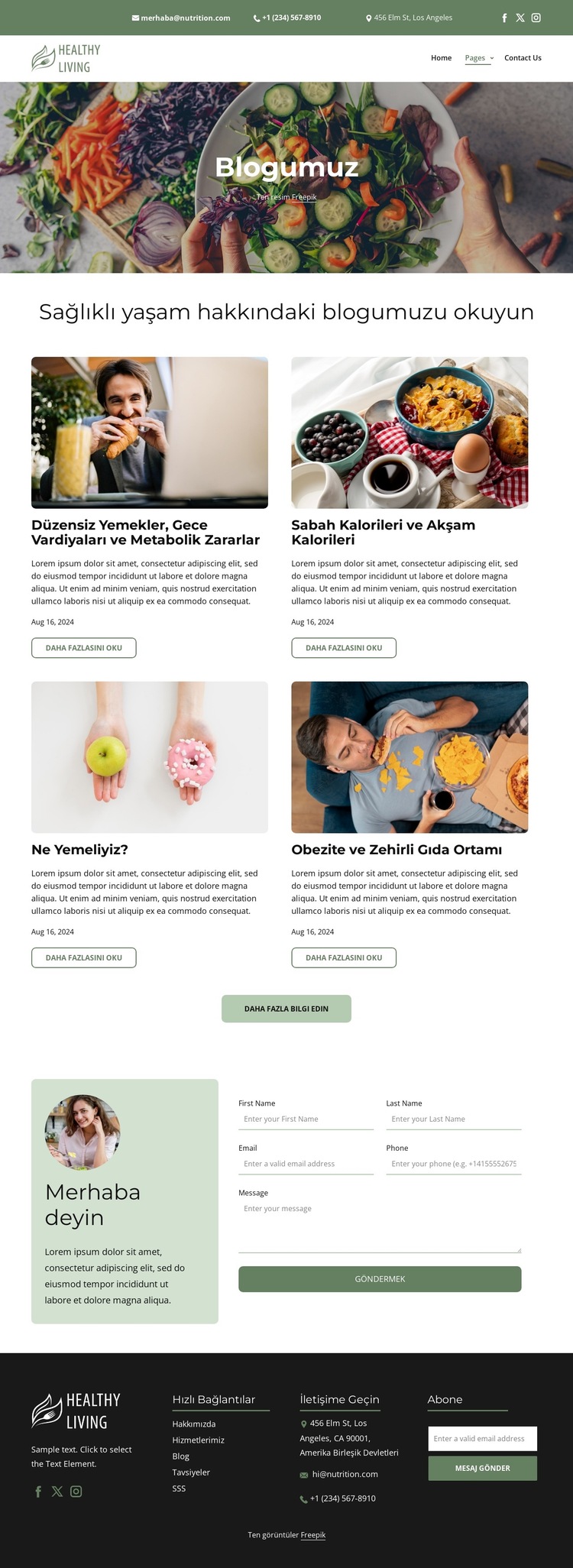 Sağlıklı yaşam blogu Web Sitesi Şablonu