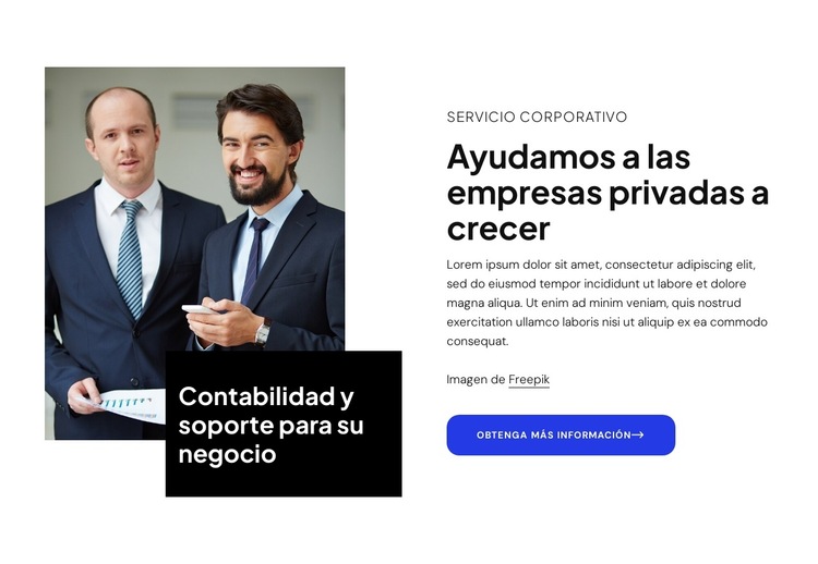 Ayudamos a las empresas privadas a crecer Plantilla de sitio web