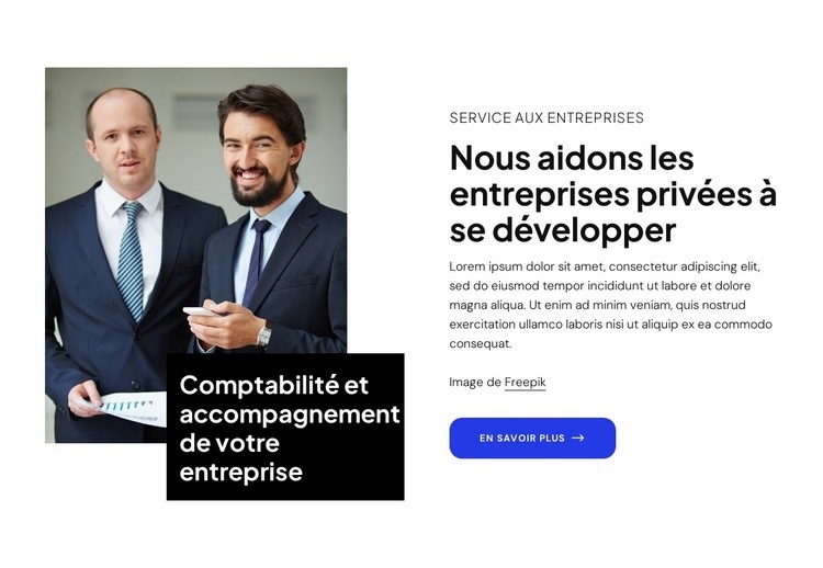 Nous aidons les entreprises privées à se développer Modèle d'une page