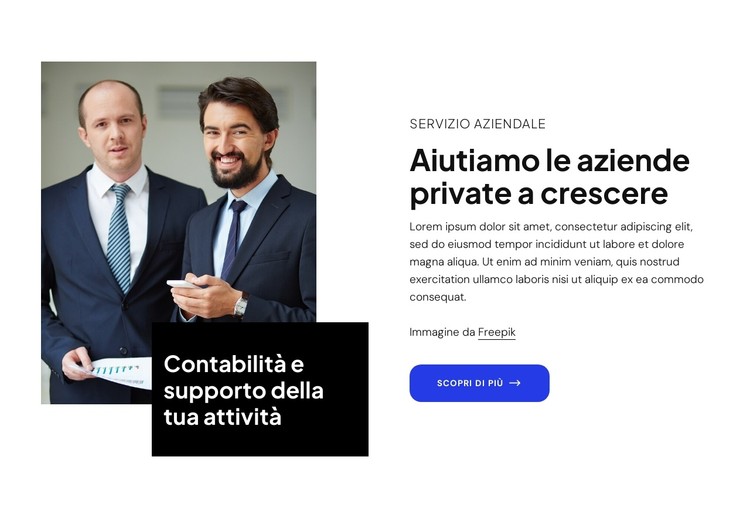 Aiutiamo le aziende private a crescere Modello CSS