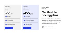 Our Flexible Pricing Plans Basic Html Template With CSS