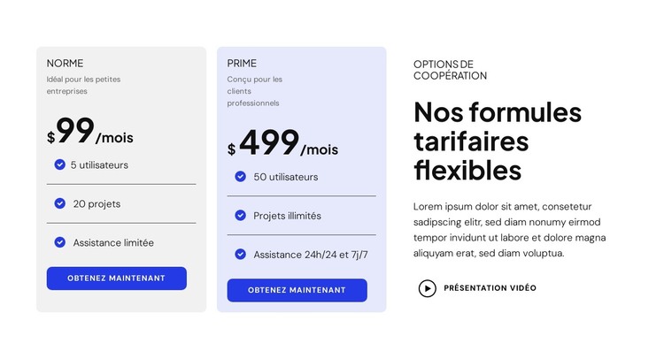 Nos plans tarifaires flexibles Modèle HTML