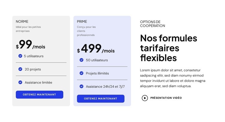 Nos plans tarifaires flexibles Modèle