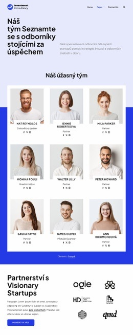 Tým investičního poradenství Šablony