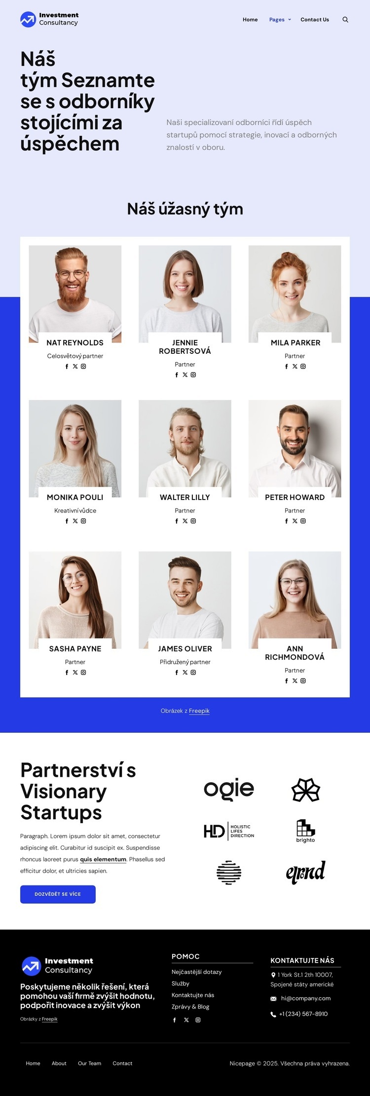 Tým investičního poradenství Šablona HTML