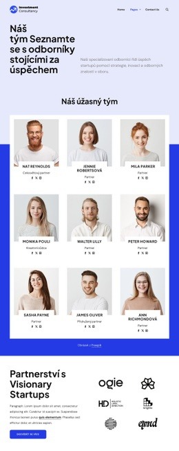 Tým Investičního Poradenství