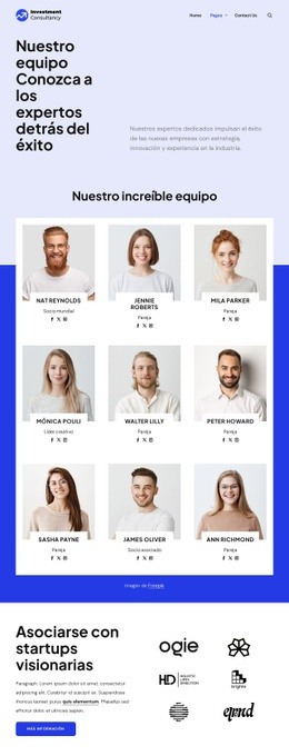 Equipo de consultoría de inversiones Maquetas de sitios web