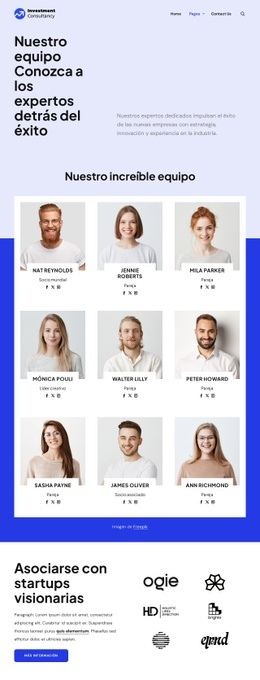 Equipo de consultoría de inversiones Páginas de destino