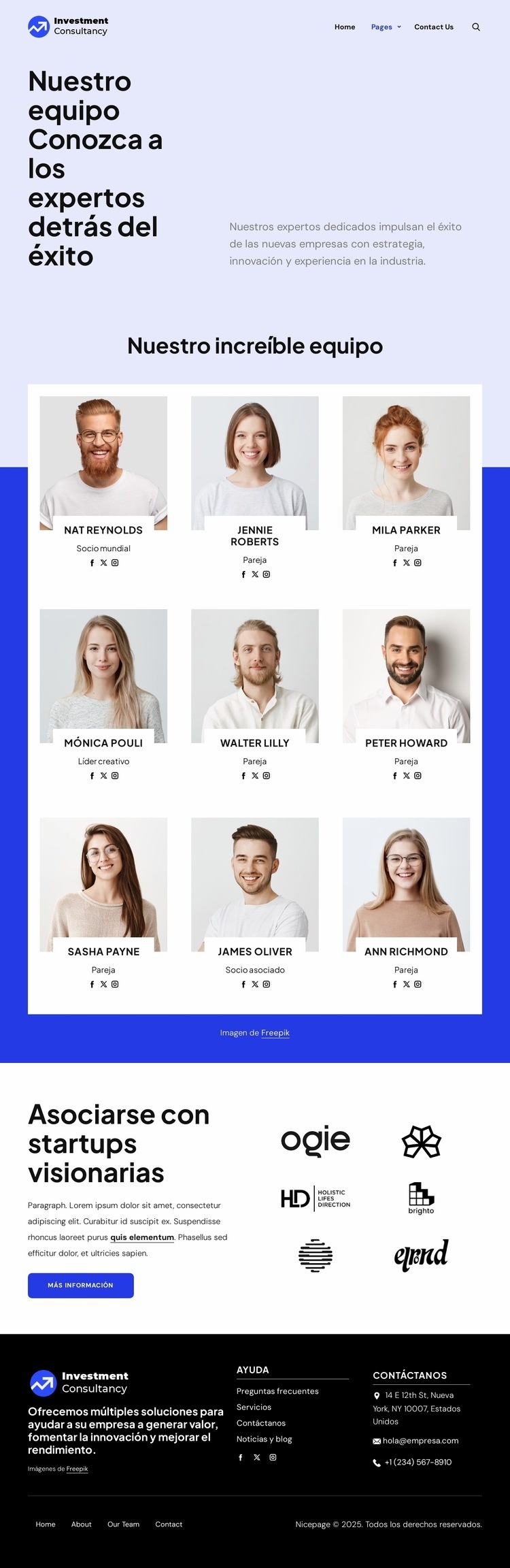 Equipo de consultoría de inversiones Página de destino