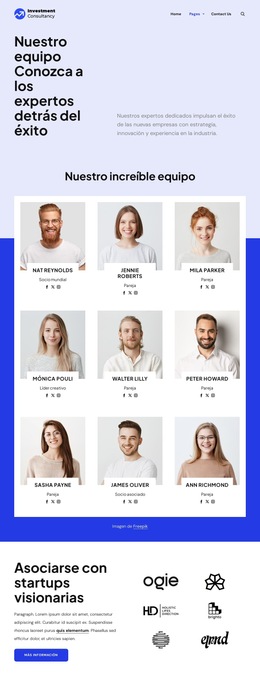 Equipo De Consultoría De Inversiones - Descarga De Plantilla De Sitio Web