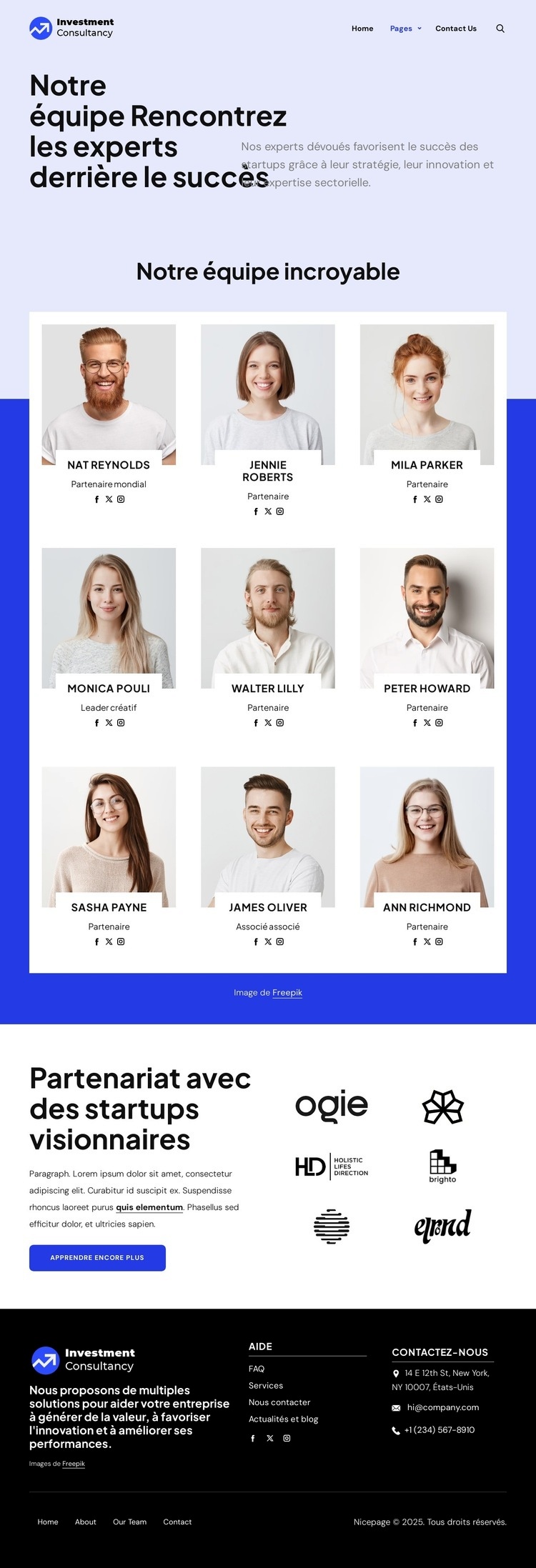 Équipe de conseil en investissement Conception de site Web