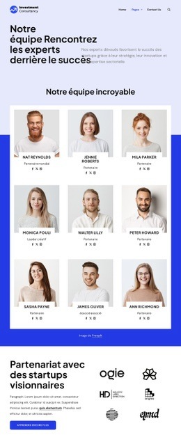 Équipe De Conseil En Investissement Maquette De Site Web