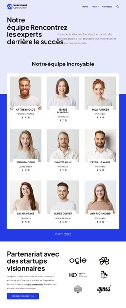 Équipe De Conseil En Investissement