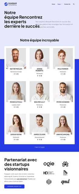 Équipe de conseil en investissement Modèles HTML