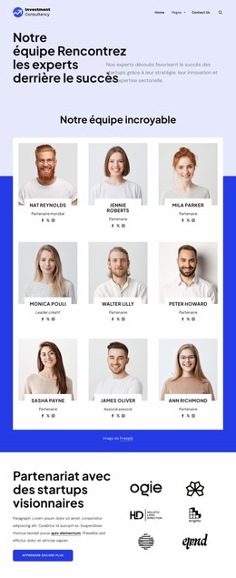 Équipe De Conseil En Investissement