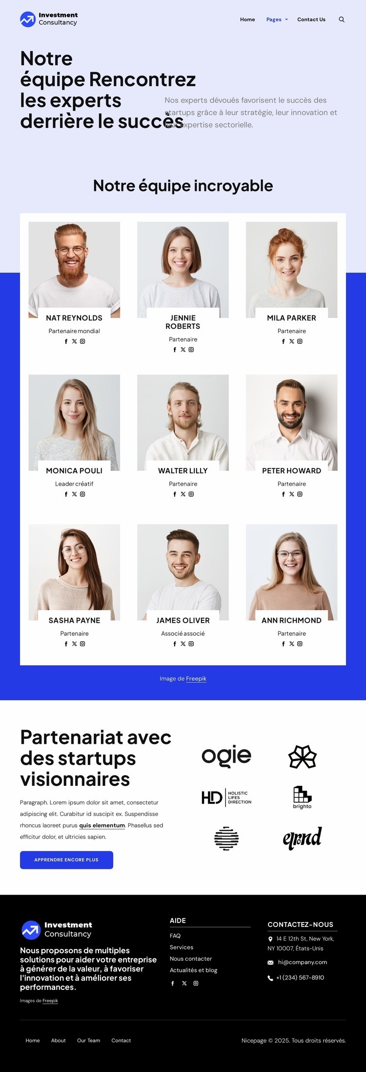 Équipe de conseil en investissement Modèle