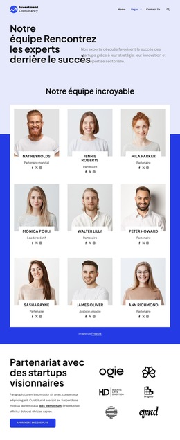 Équipe de conseil en investissement Modèles de sites Web
