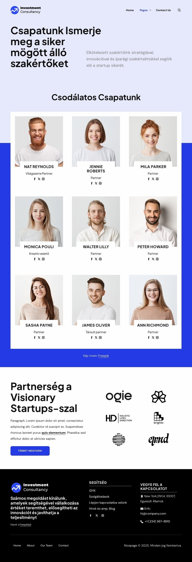 Befektetési tanácsadó csapat HTML Sablon