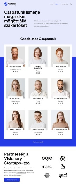 Befektetési Tanácsadó Csapat