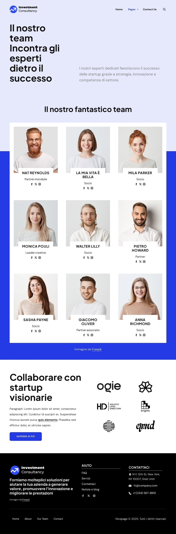 Team di consulenza sugli investimenti Modello di sito Web