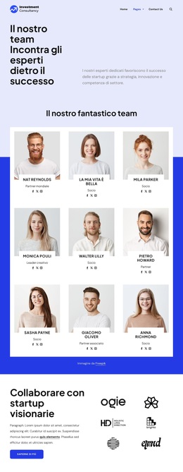 Team di consulenza sugli investimenti Temi WordPress