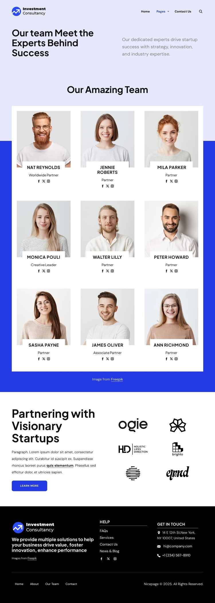 Investment consultancy team Joomla Template