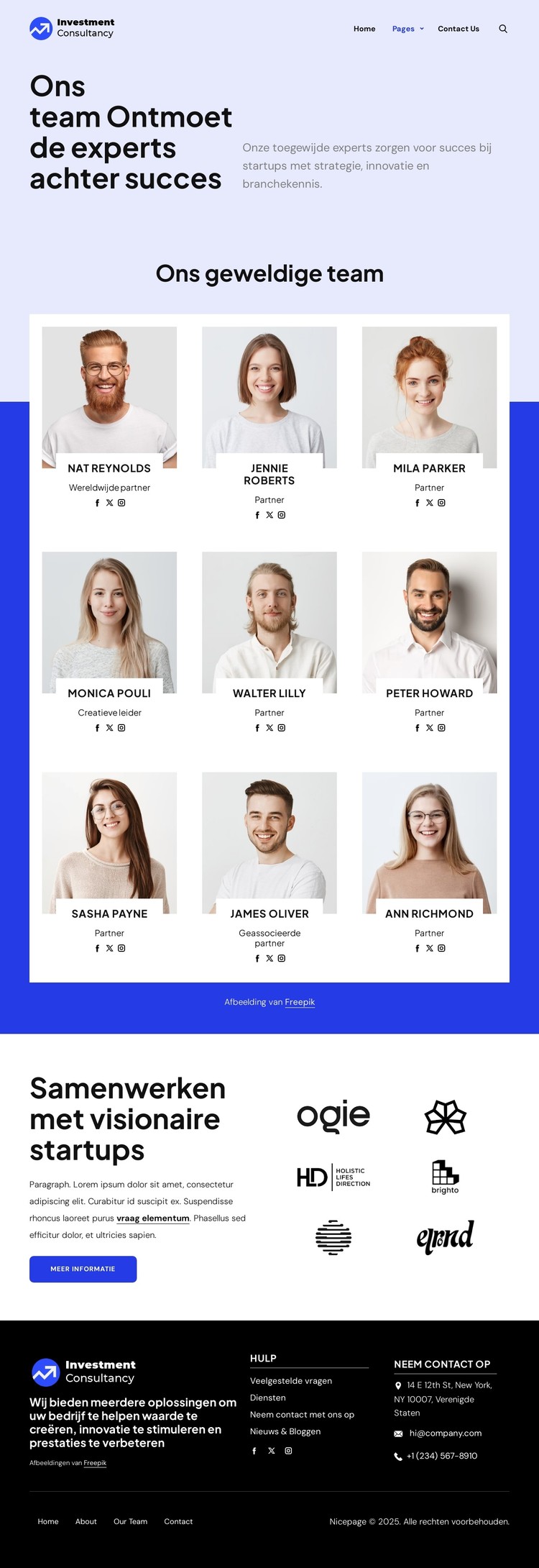 Beleggingsadviesteam CSS-sjabloon