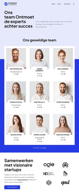 Pagina-HTML Voor Beleggingsadviesteam