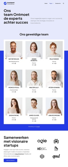 Beleggingsadviesteam WordPress-thema's