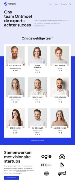 Beleggingsadviesteam Website-ontwerpen