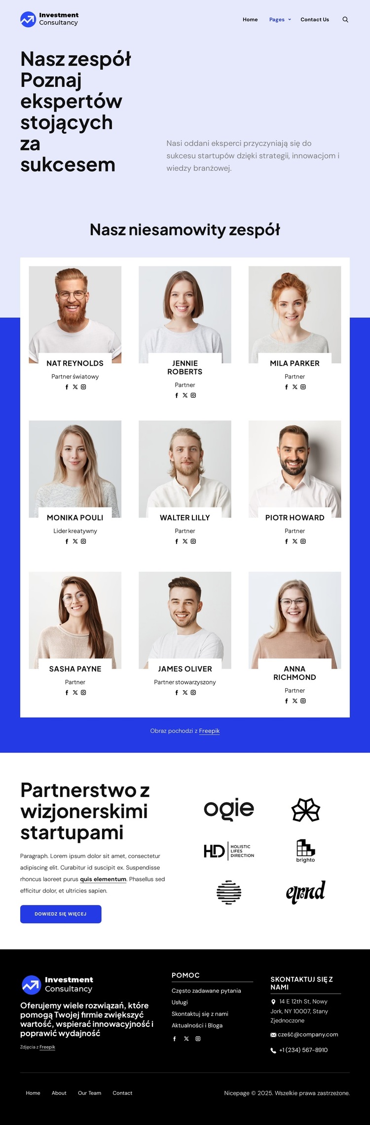 Zespół doradztwa inwestycyjnego Szablon witryny sieci Web