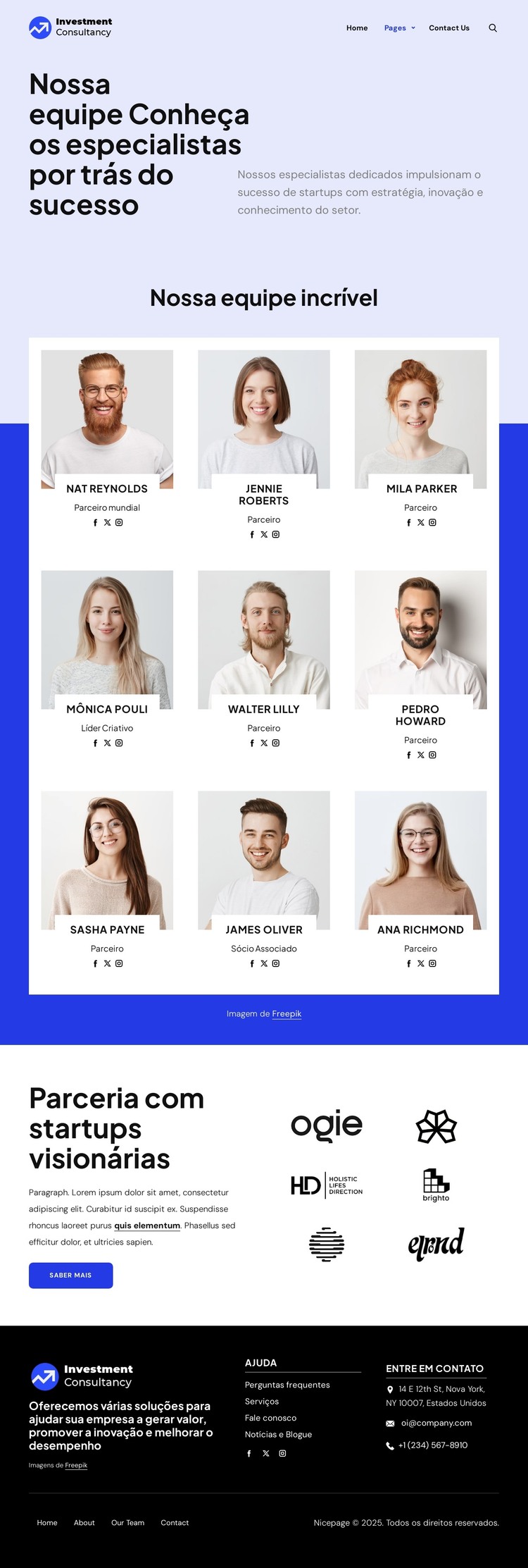 Equipe de consultoria de investimentos Modelo HTML