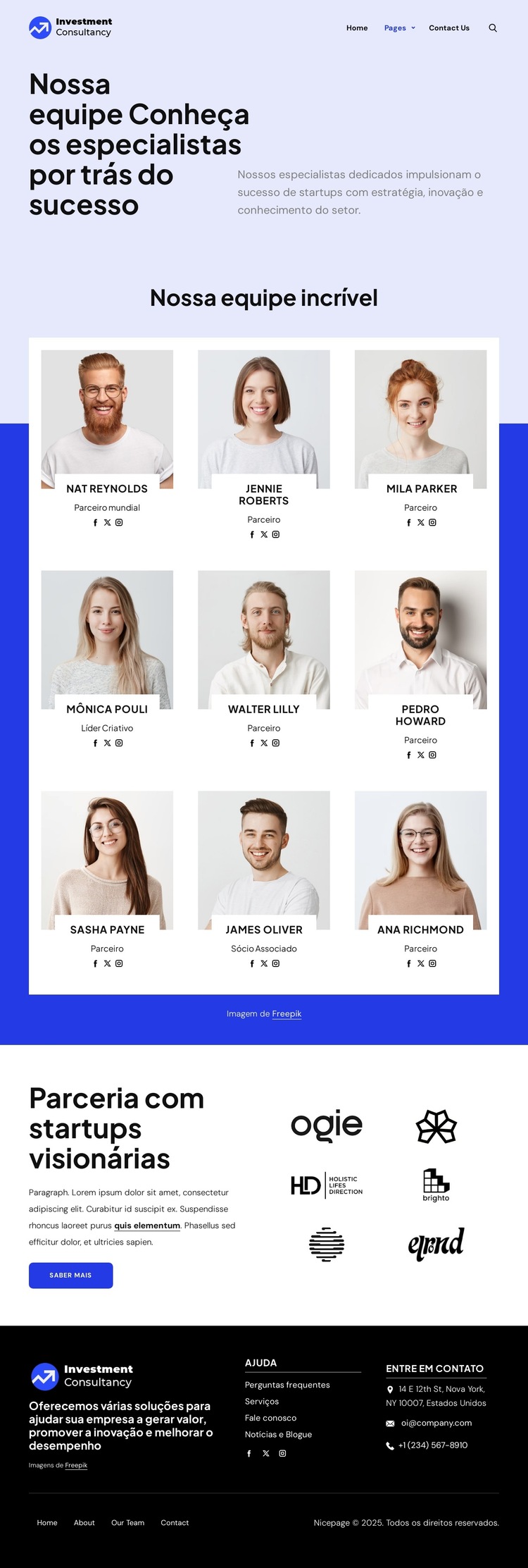 Equipe de consultoria de investimentos Modelo de site
