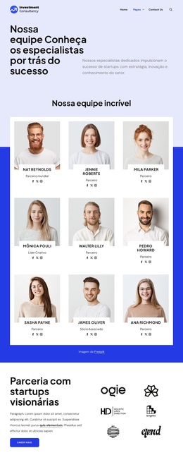 Equipe de consultoria de investimentos Temas WordPress