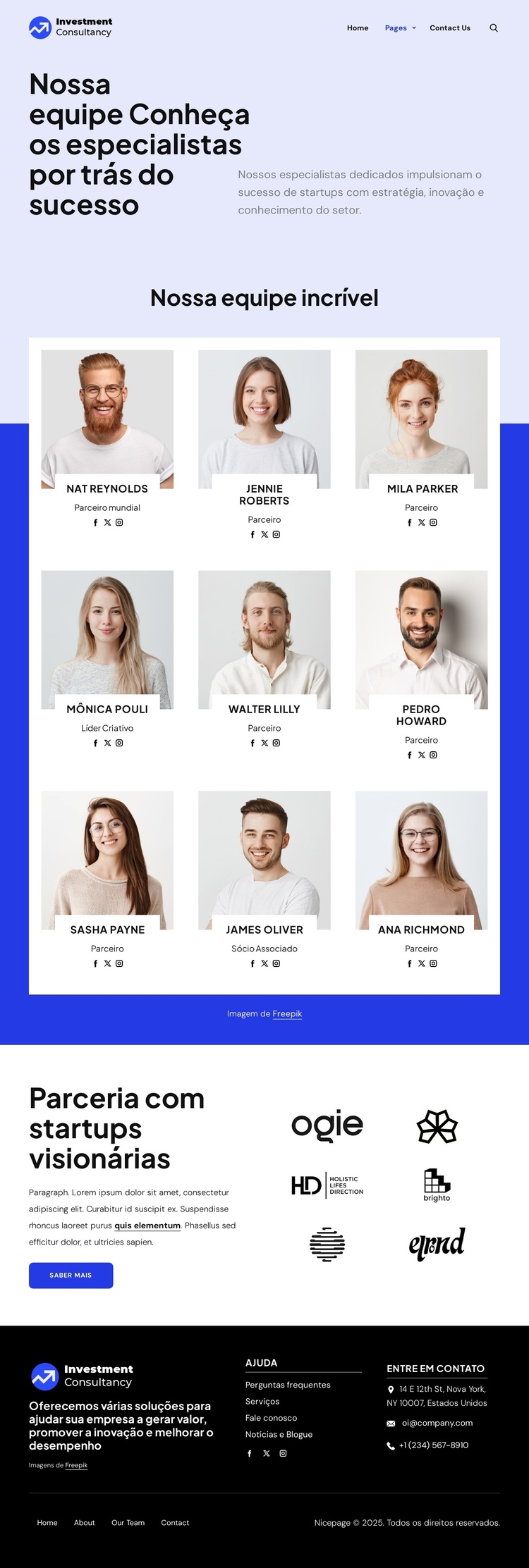 Equipe de consultoria de investimentos Tema WordPress