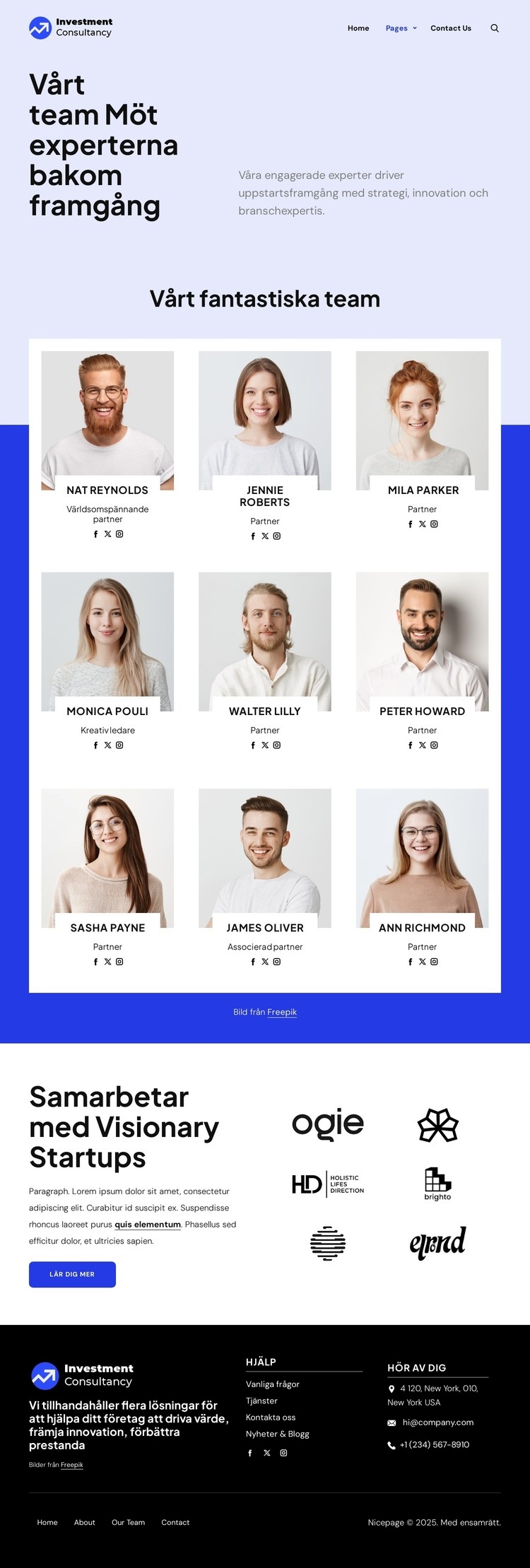 Investeringskonsultteam HTML-mall