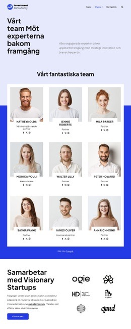 Investeringskonsultteam Mallar