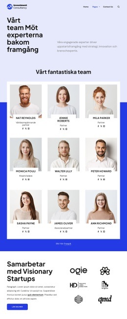 Investeringskonsultteam Webbplatsmallar