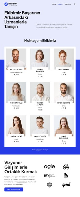 Yatırım danışmanlığı ekibi CSS Şablonları