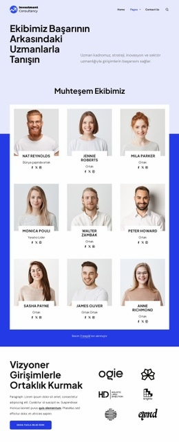 Yatırım danışmanlığı ekibi Şablonlar