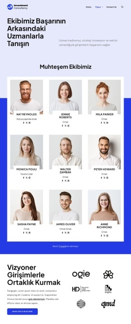 Yatırım danışmanlığı ekibi Tek Sayfa Şablonları