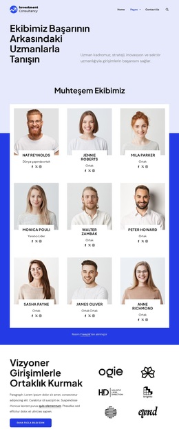 Yatırım danışmanlığı ekibi WordPress Temaları