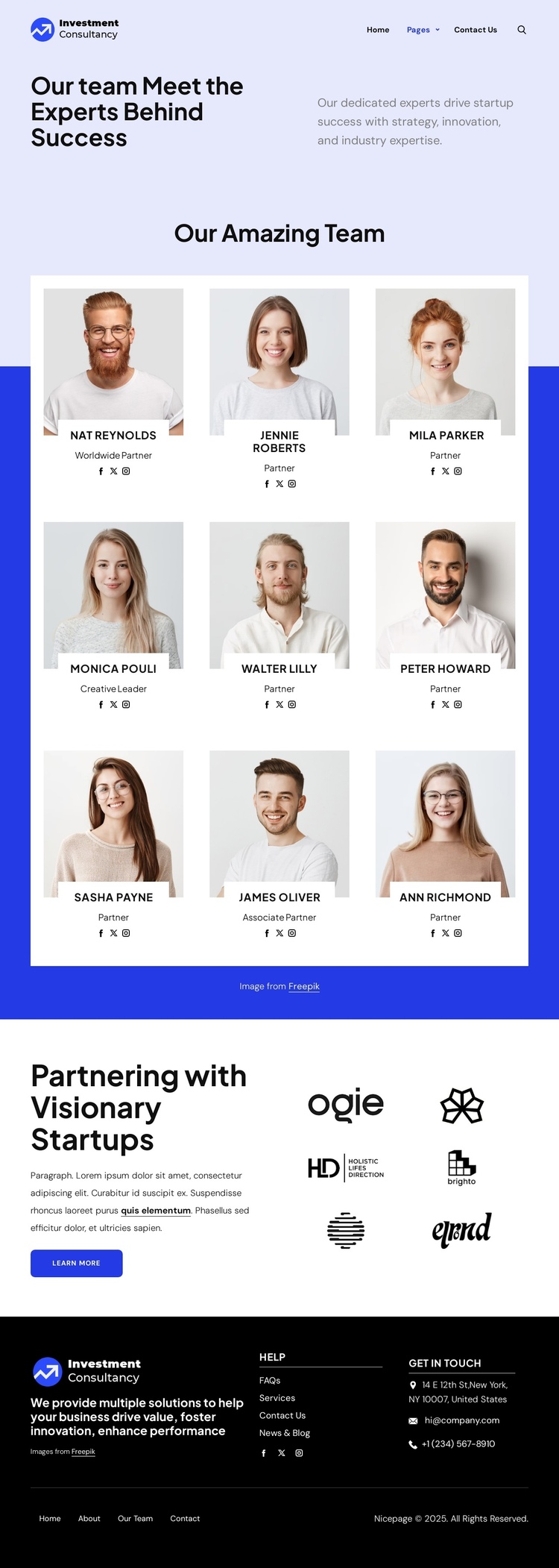 Investment consultancy team Website Builder Software