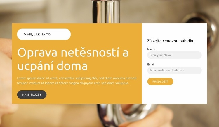 Domácí instalatérské opravy Šablona HTML
