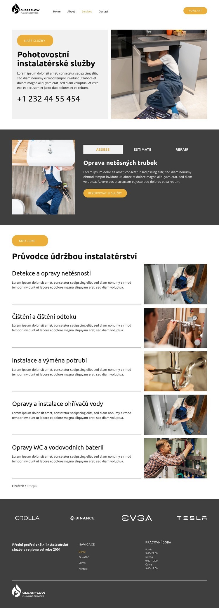 Detekce a opravy netěsností Šablona webové stránky