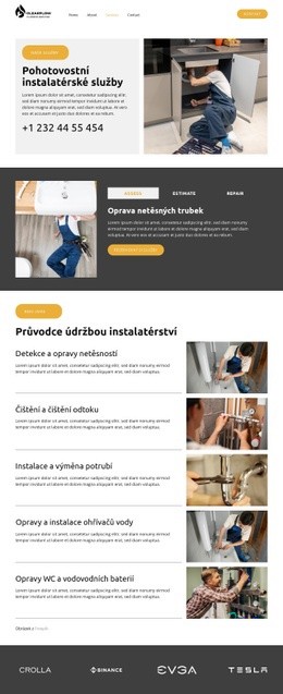 Detekce A Opravy Netěsností – Vlastní Motiv WordPress
